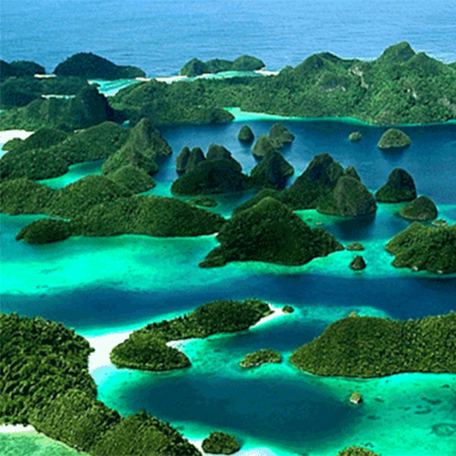 Keindahan Raja Ampat: Destinasi Wisata Bahari yang Memukau Dunia
