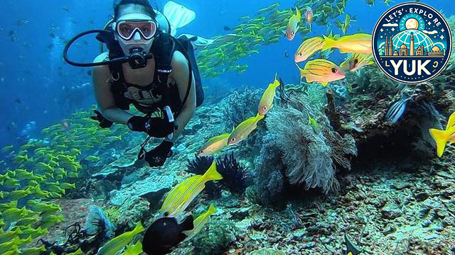 Keindahan Raja Ampat: Destinasi Wisata Bahari yang Memukau Dunia