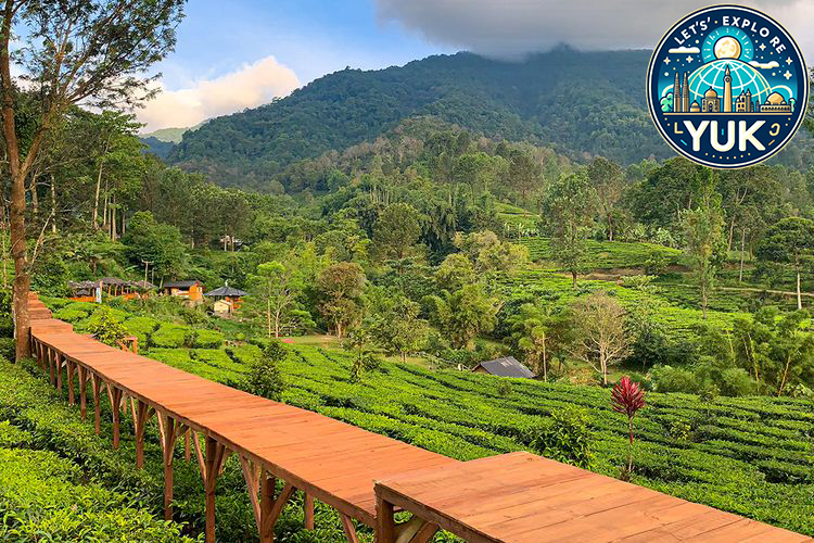 Panduan Liburan Seru di Puncak: Nikmati Udara Sejuk dan Wisata Alam