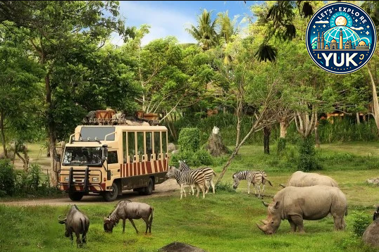 Taman Safari: Destinasi Wisata Edukatif Saat Liburan Keluarga