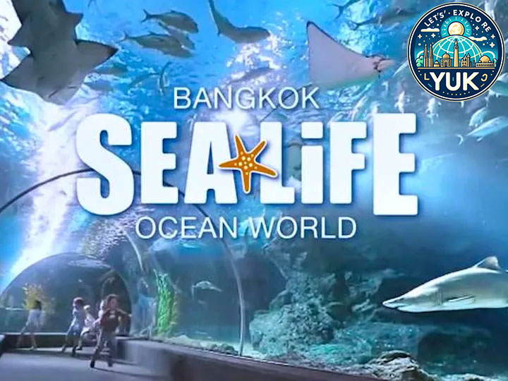 SEA LIFE Bangkok: Jelajahi Dunia Laut yang Menakjubkan di Mall Bangkok