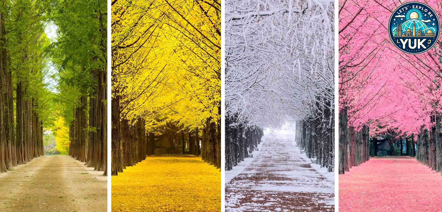 Nami Island: Wisata Alam dan Keajaiban Musim Gugur di Korea