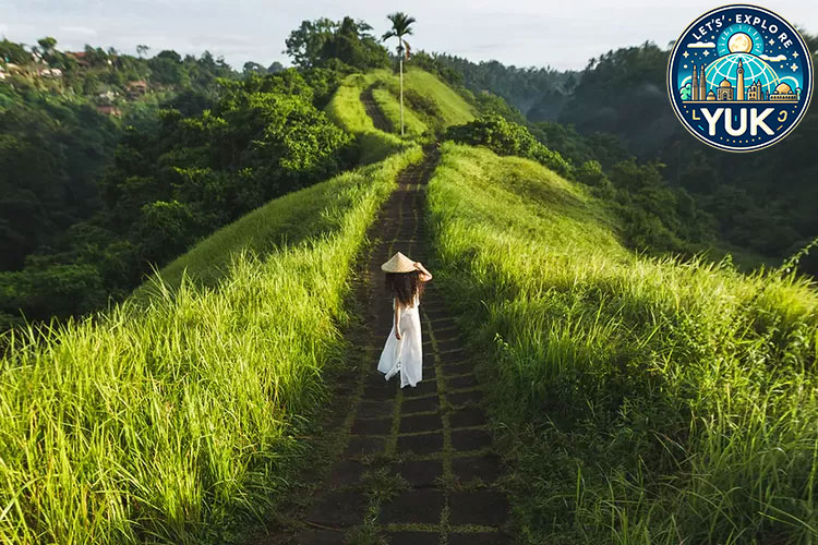Bukit Campuhan: Jalur Hijau Menyatu dengan Alam di Bali