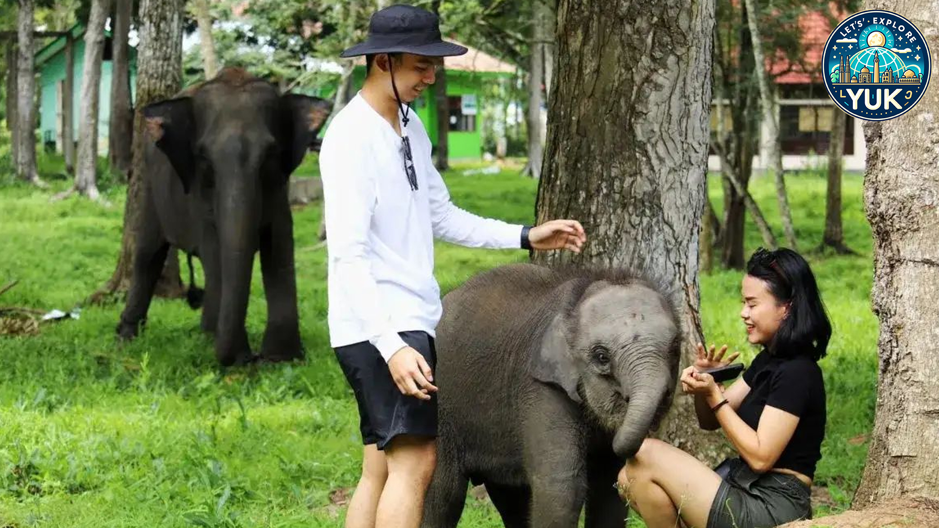 Way Kambas: Wisata Alam yang Penuh Kejutan