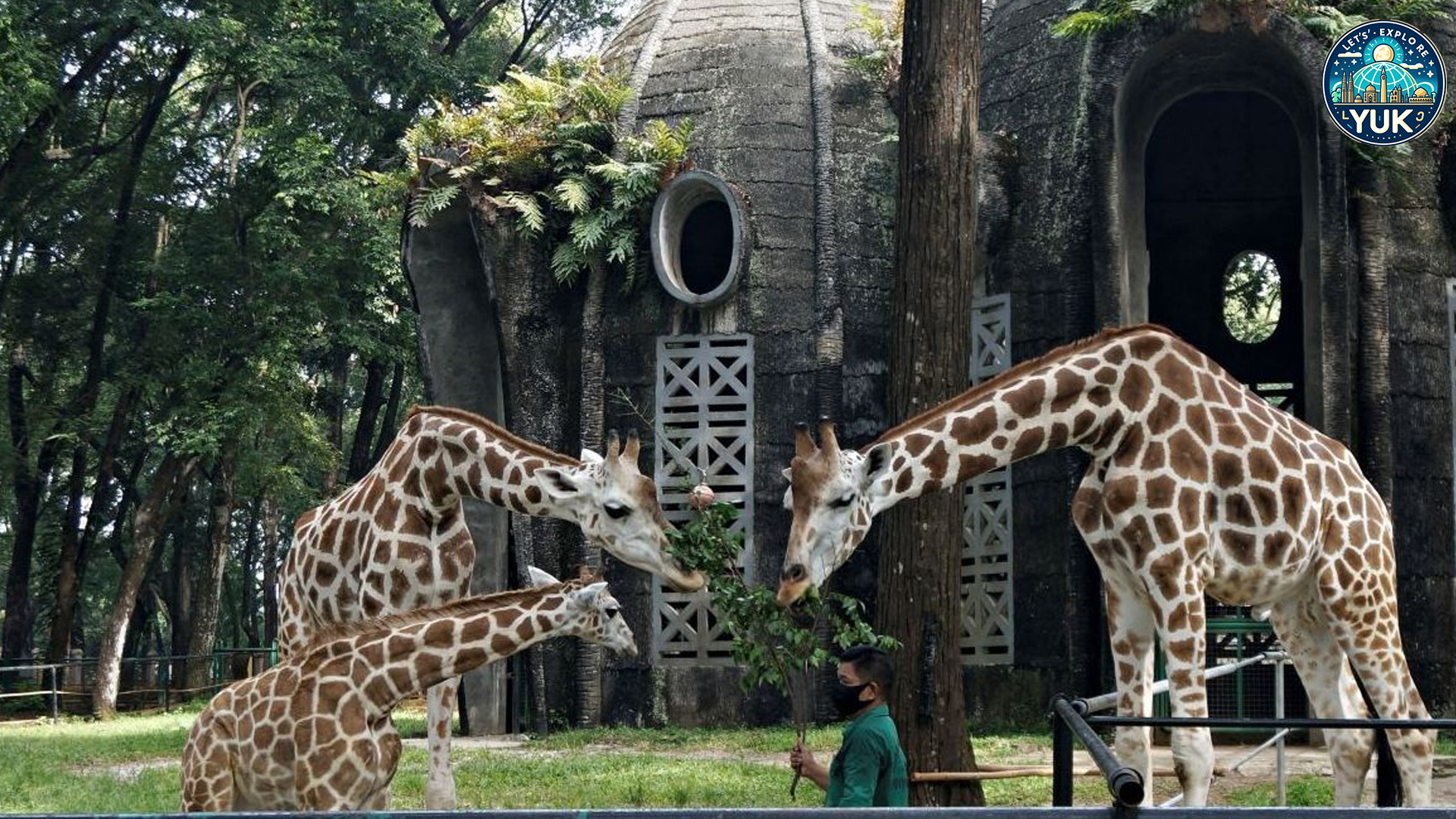 Pesona Ragunan: Wisata Seru untuk Keluarga