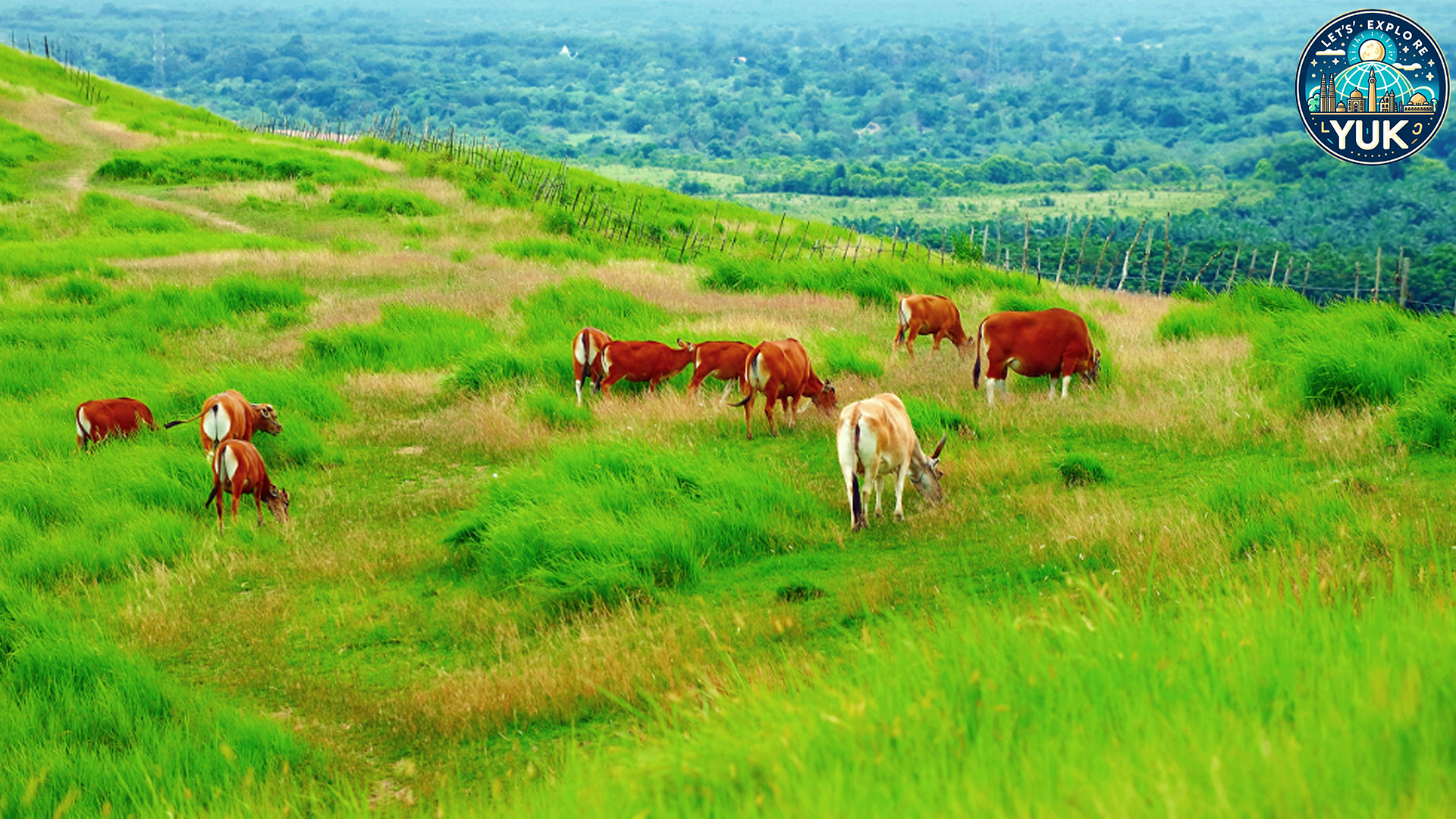 Eksplorasi Bukit Rimpi, Destinasi Wisata Hits di Pelaihari