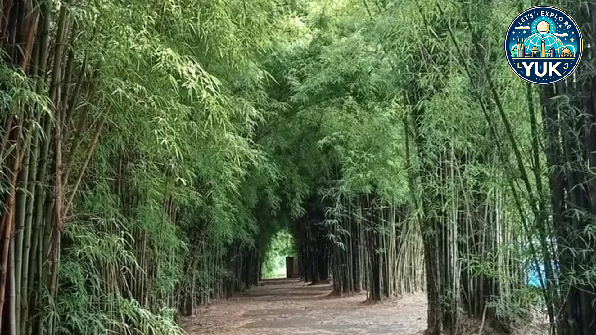 Hutan Bambu Keputih: Destinasi Wisata Alam Terbaik di Surabaya