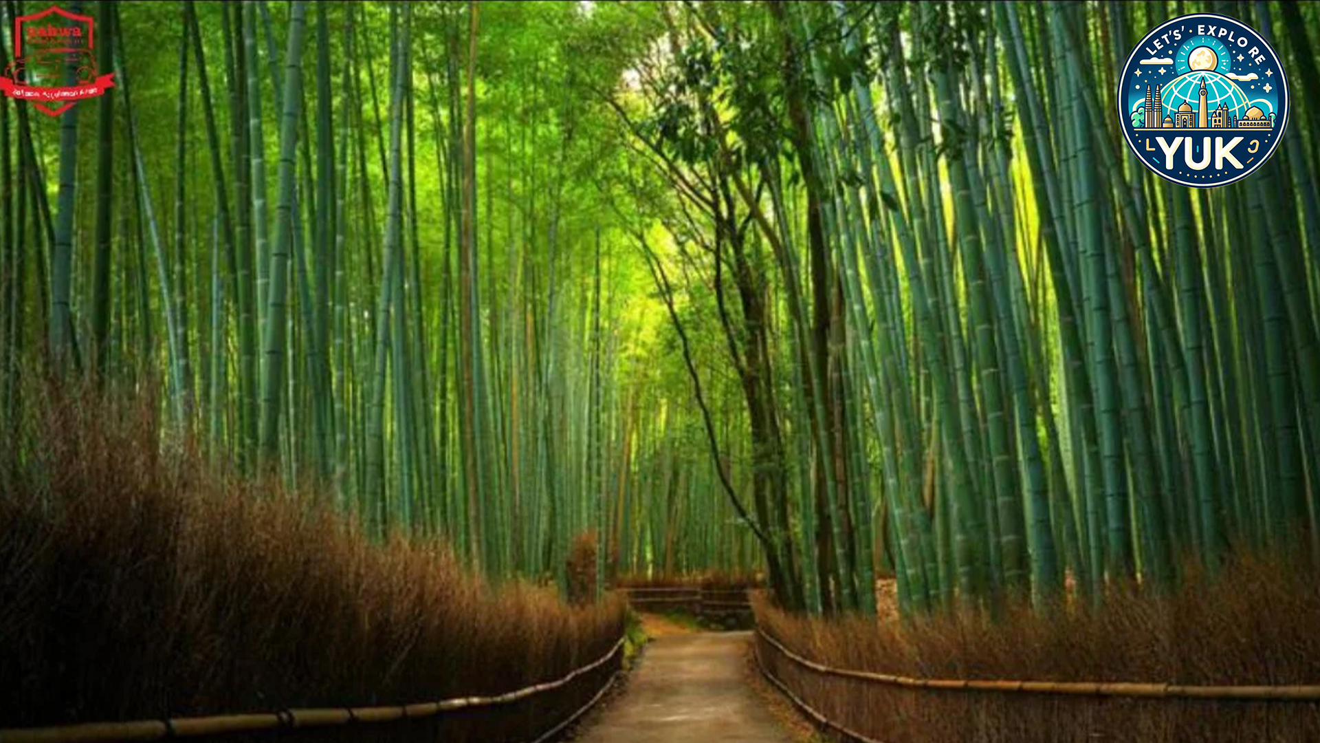 Hutan Bambu Keputih: Destinasi Wisata Alam Terbaik di Surabaya