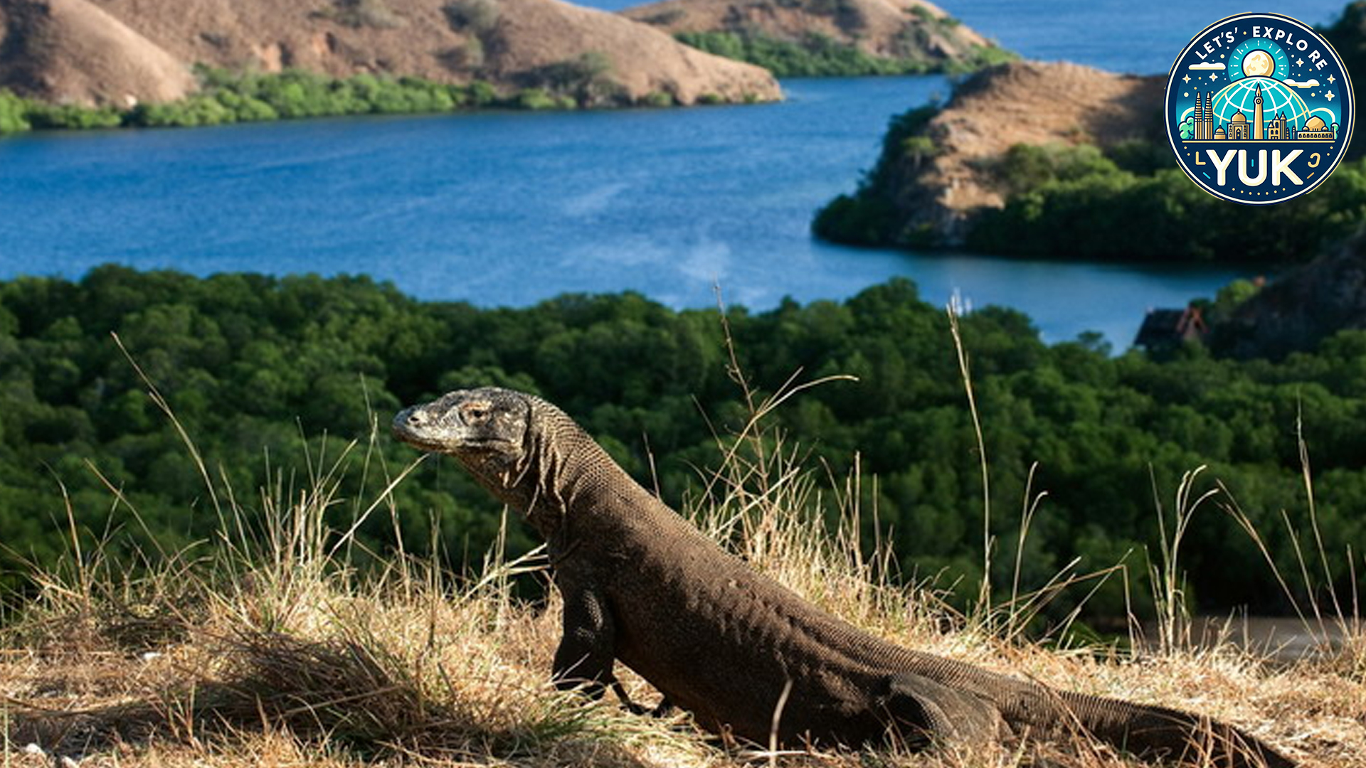 Menyelami Keindahan Pulau Komodo dan Pulau Sekitarnya