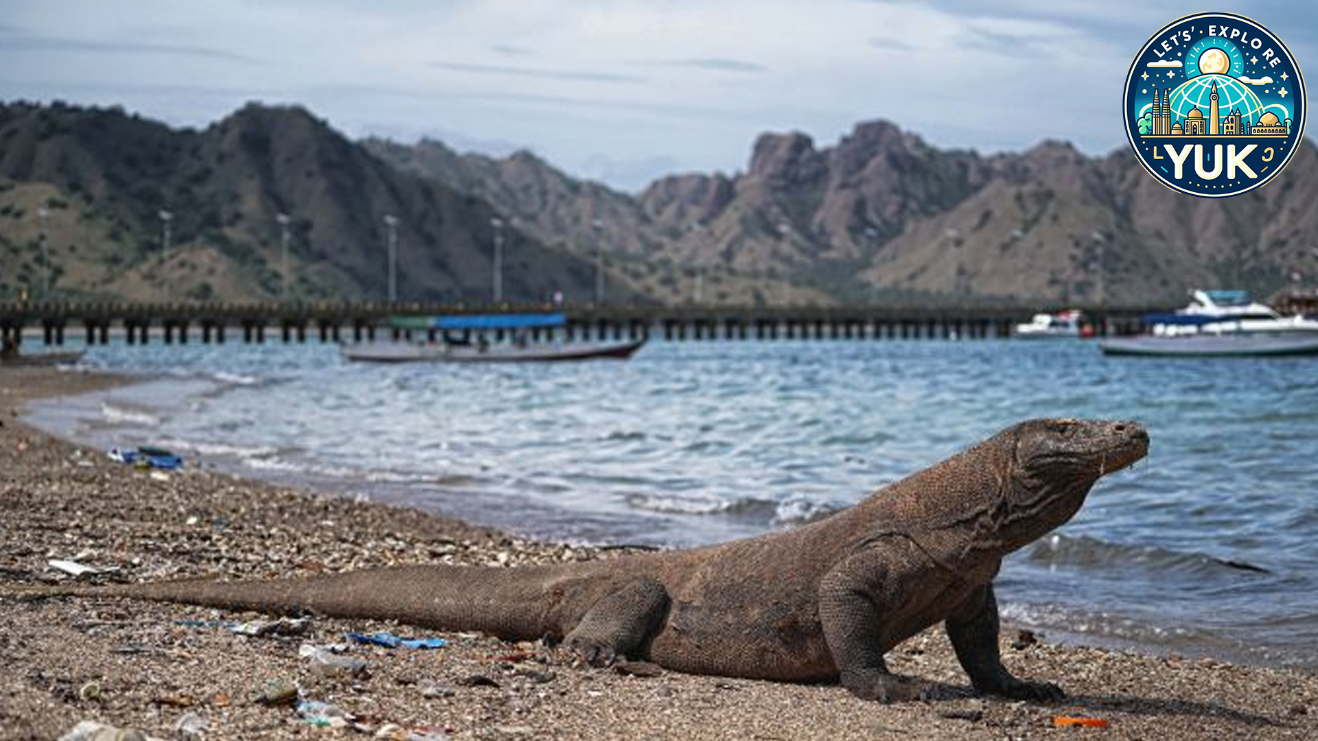 Menyelami Keindahan Pulau Komodo dan Pulau Sekitarnya