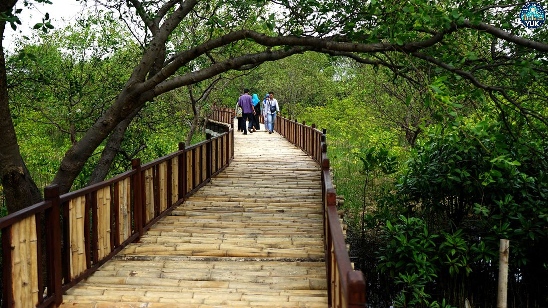 Ekowisata Mangrove: Destinasi Wajib untuk Pecinta Alam