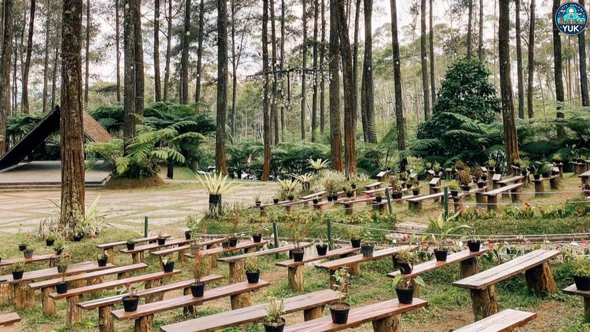 Pesona Orchid Forest: Wisata Edukasi dan Relaksasi Alam Tropis