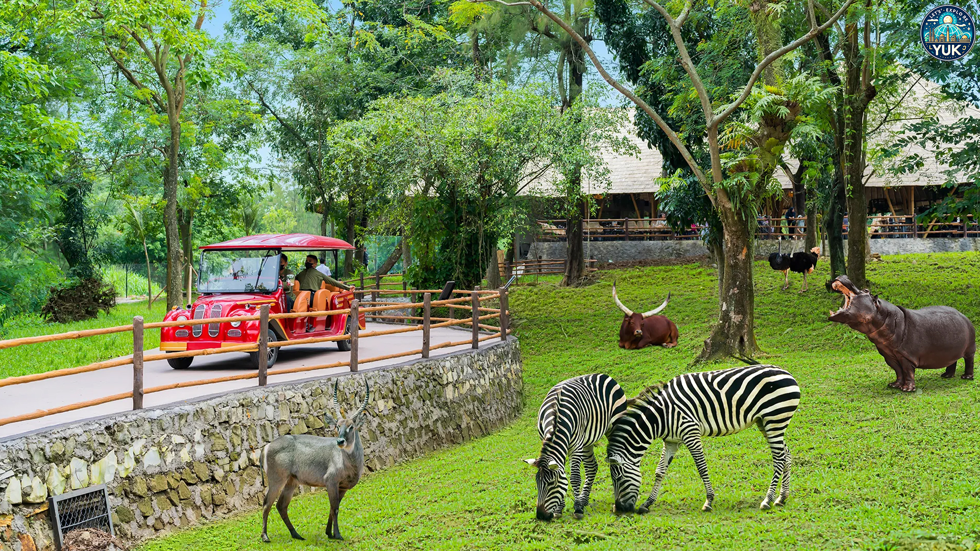 Wisata Safari Solo: Destinasi Seru untuk Pecinta Alam dan Satwa