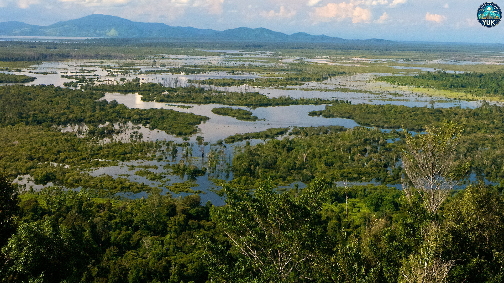 Wisata Alam Danau Sentarum: Keindahan dan Keunikannya