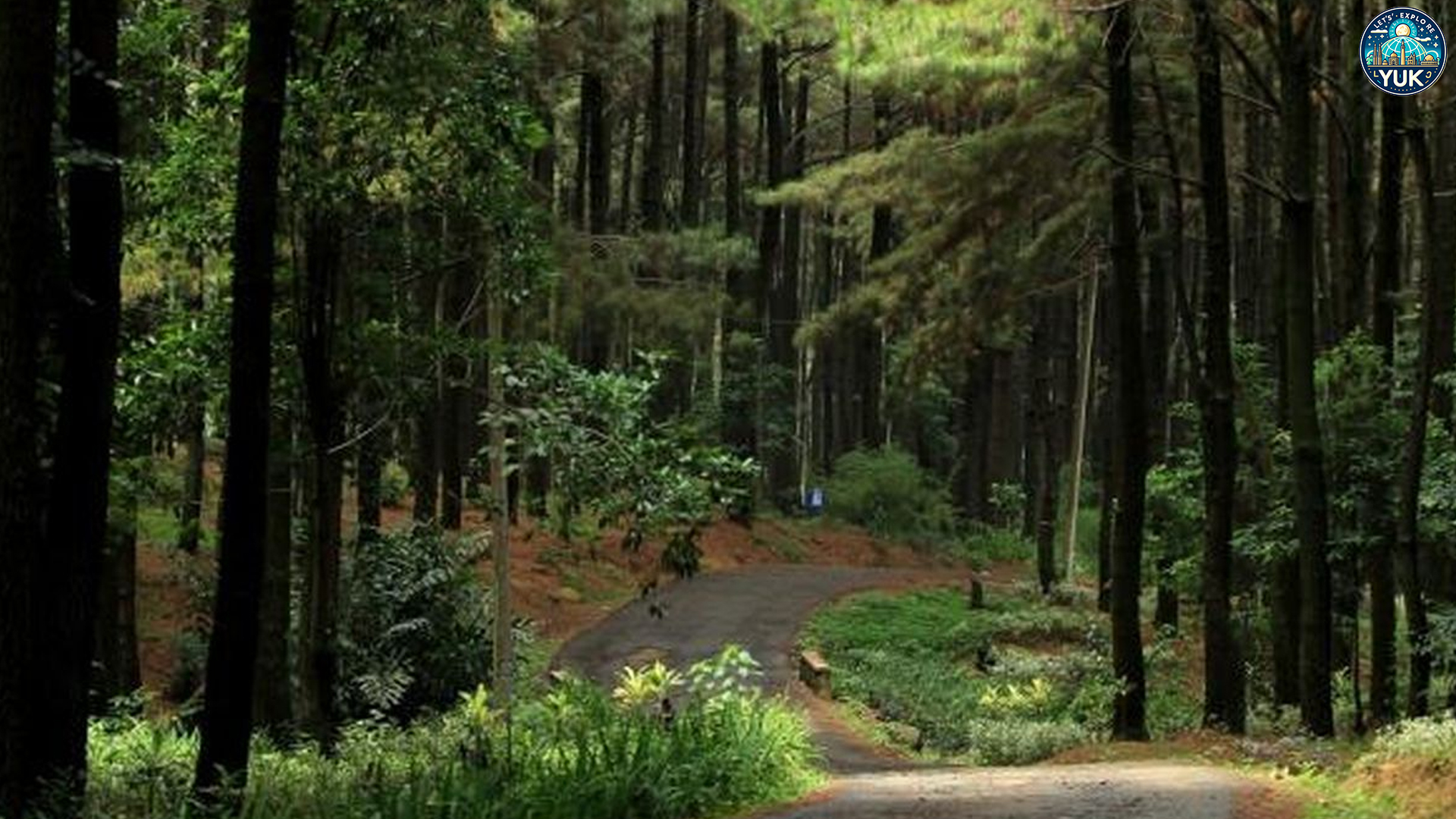 Menikmati Udara Segar dan Keindahan Gunung Pancar di Bogor