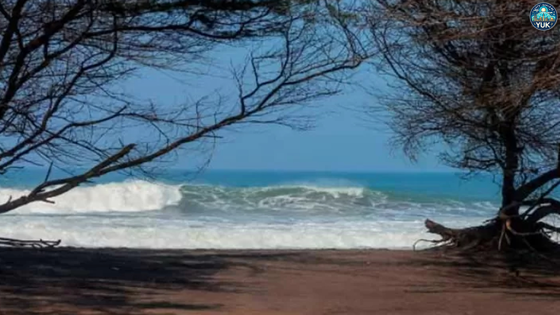 Pantai Goa Cemara: Harmoni Hutan Cemara dan Laut Selatan
