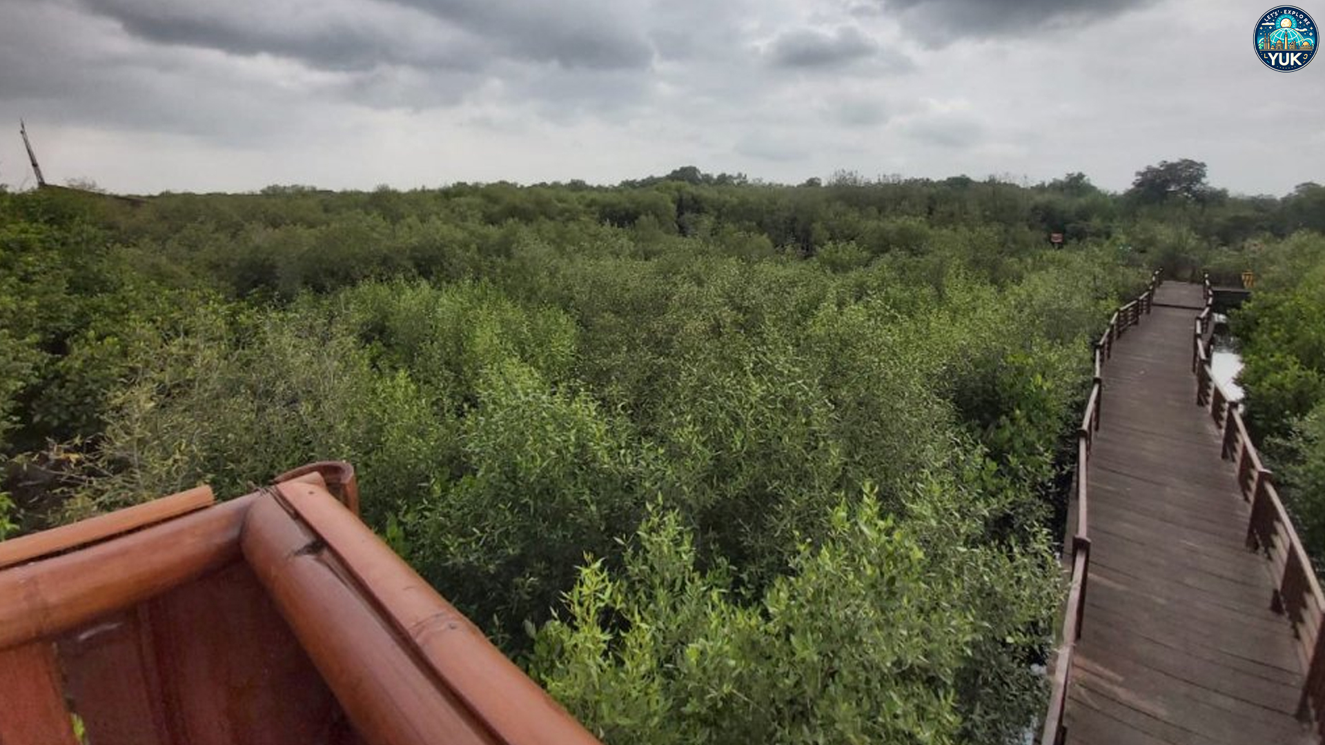 Kebun Raya Mangrove Surabaya: Tempat Rehat yang Bikin Betah