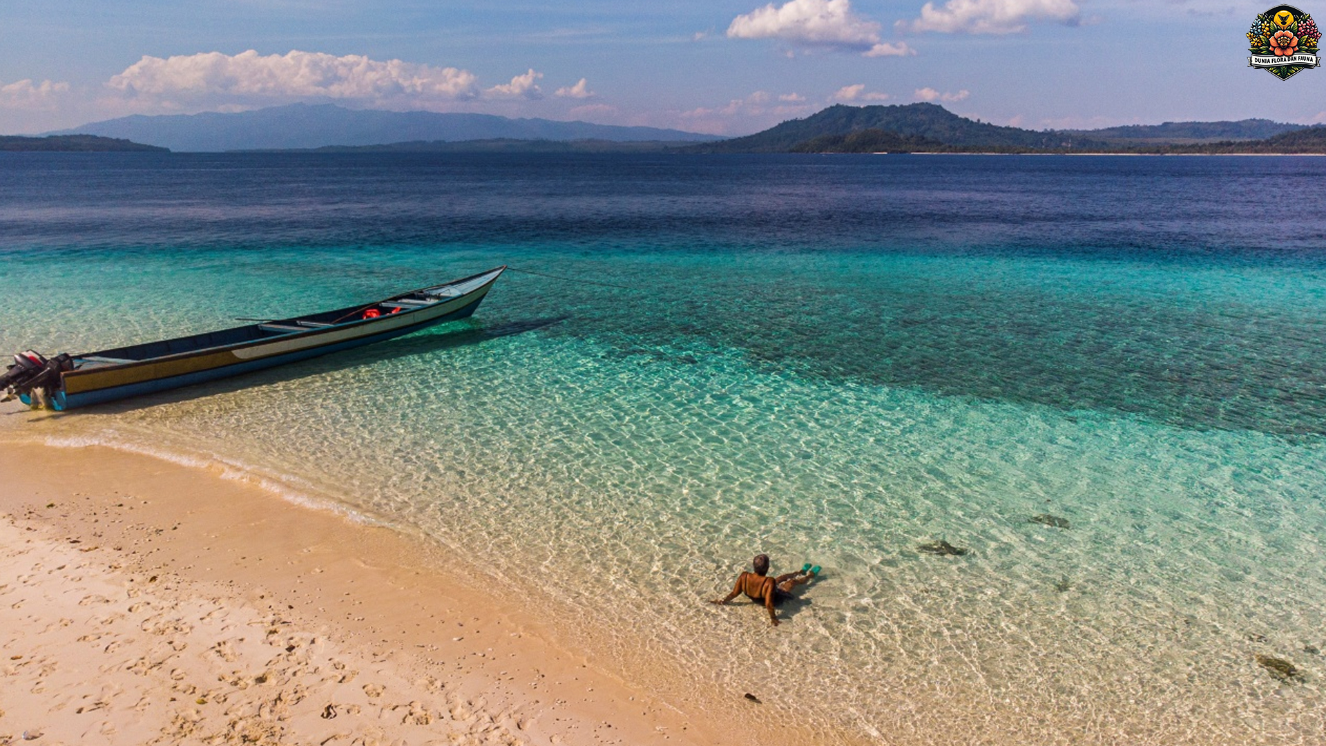 Pulau Molana: Surga Tersembunyi di Tengah Laut Maluku