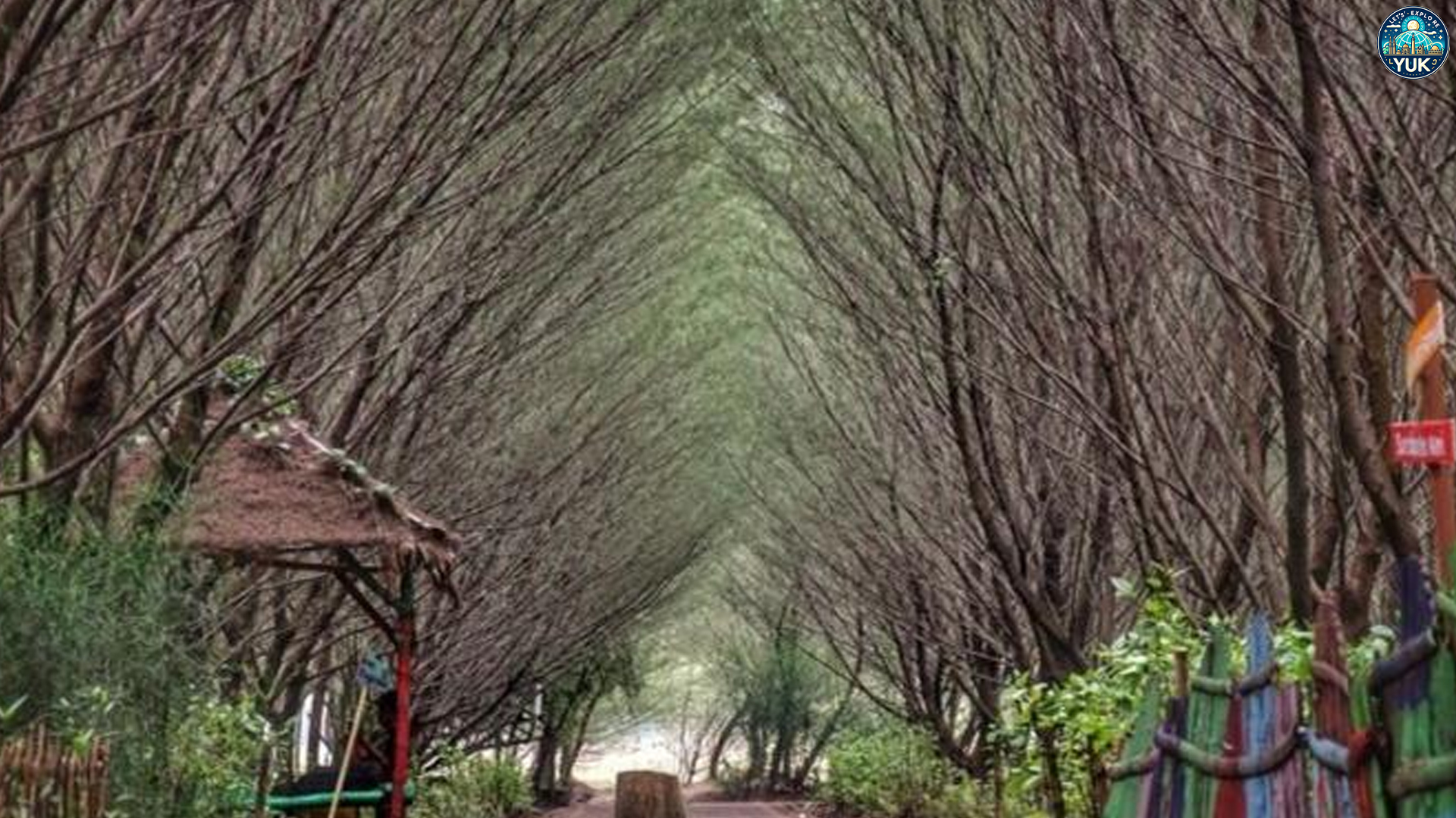 Taman Hutan Raya Pakal: Jelajah Hijau yang Bikin Hati Tenang