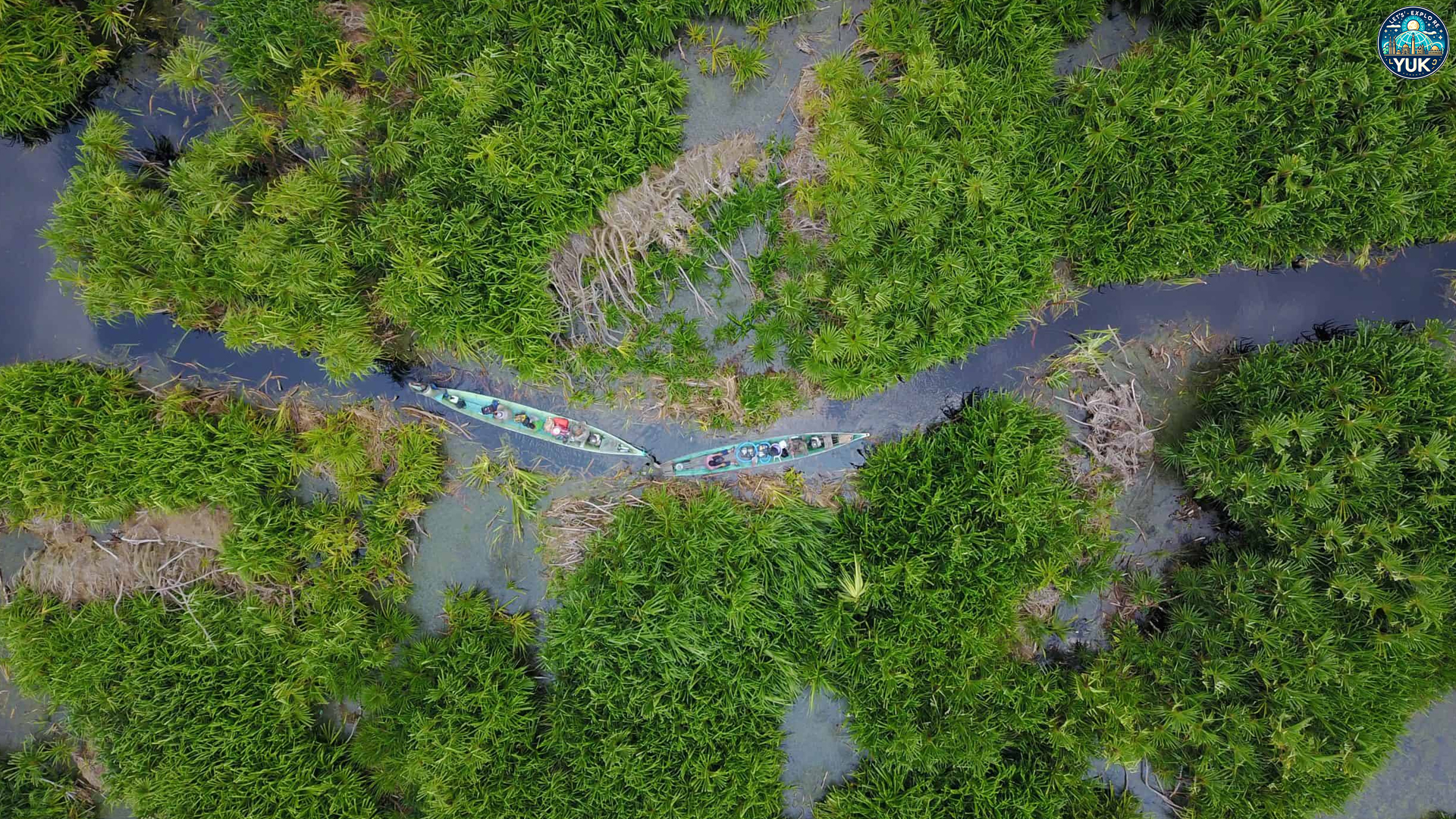 Taman Nasional Sebangau dan Pesona Hutan Gambutnya
