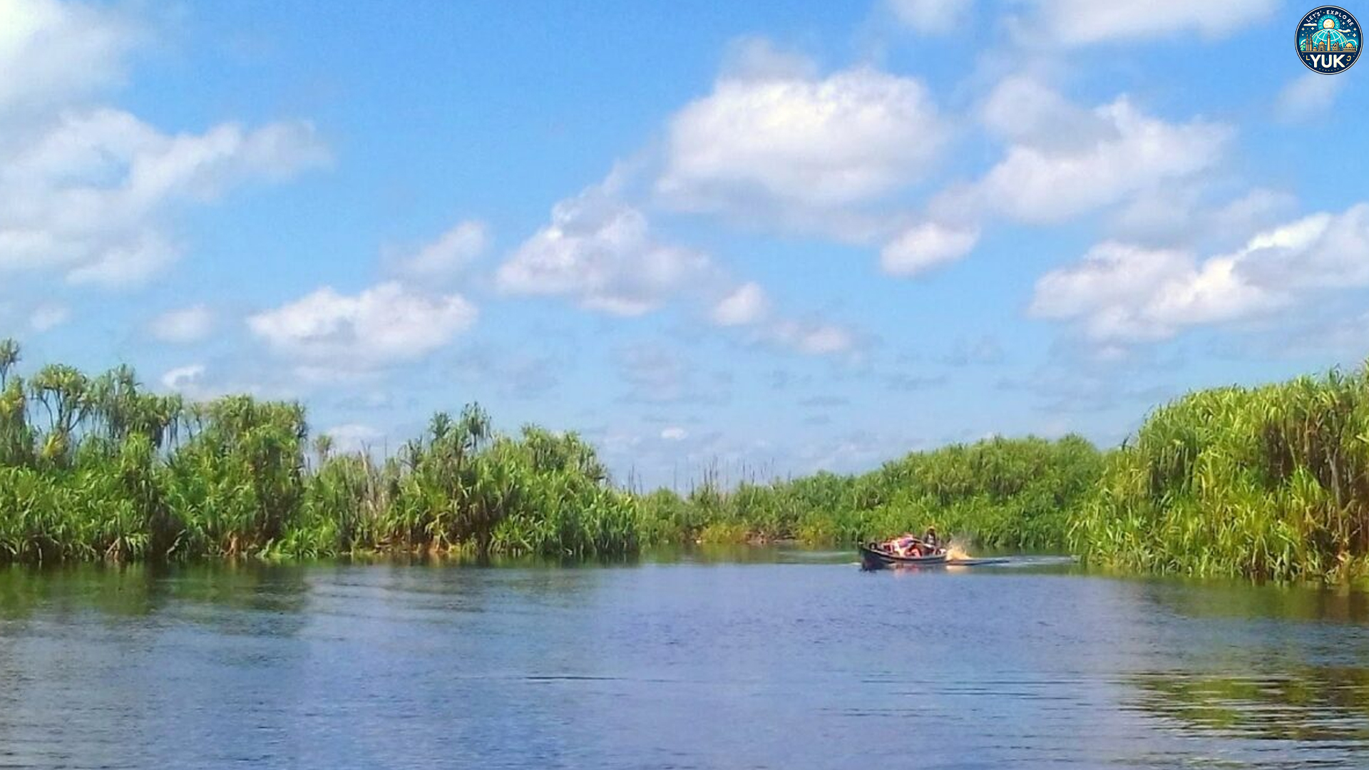 Taman Nasional Sebangau dan Pesona Hutan Gambutnya
