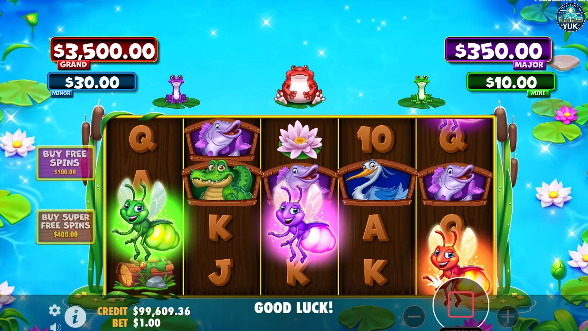 Kenapa Banyak Orang Tertarik Slot Tiny Toads Sekarang 2025