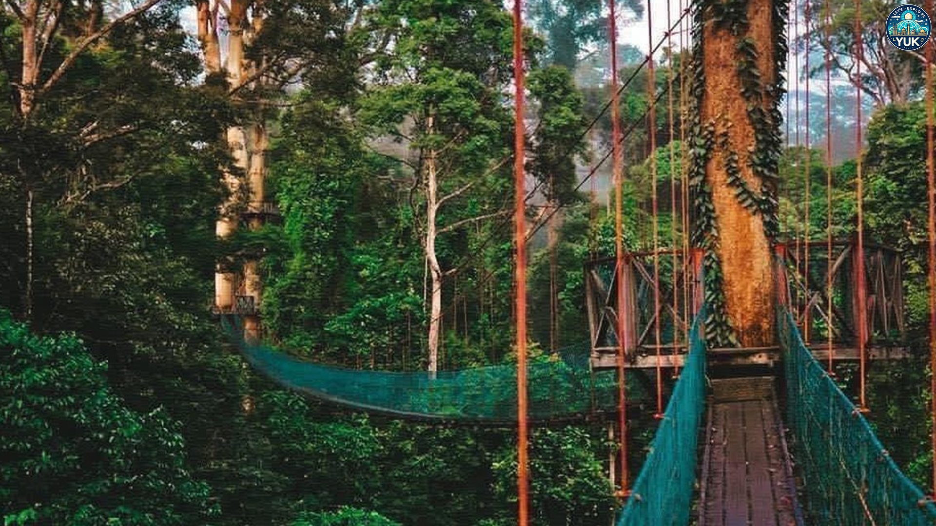 Lembah Danum: Aktivitas Wisata yang Unik dan Tak Terlupakan