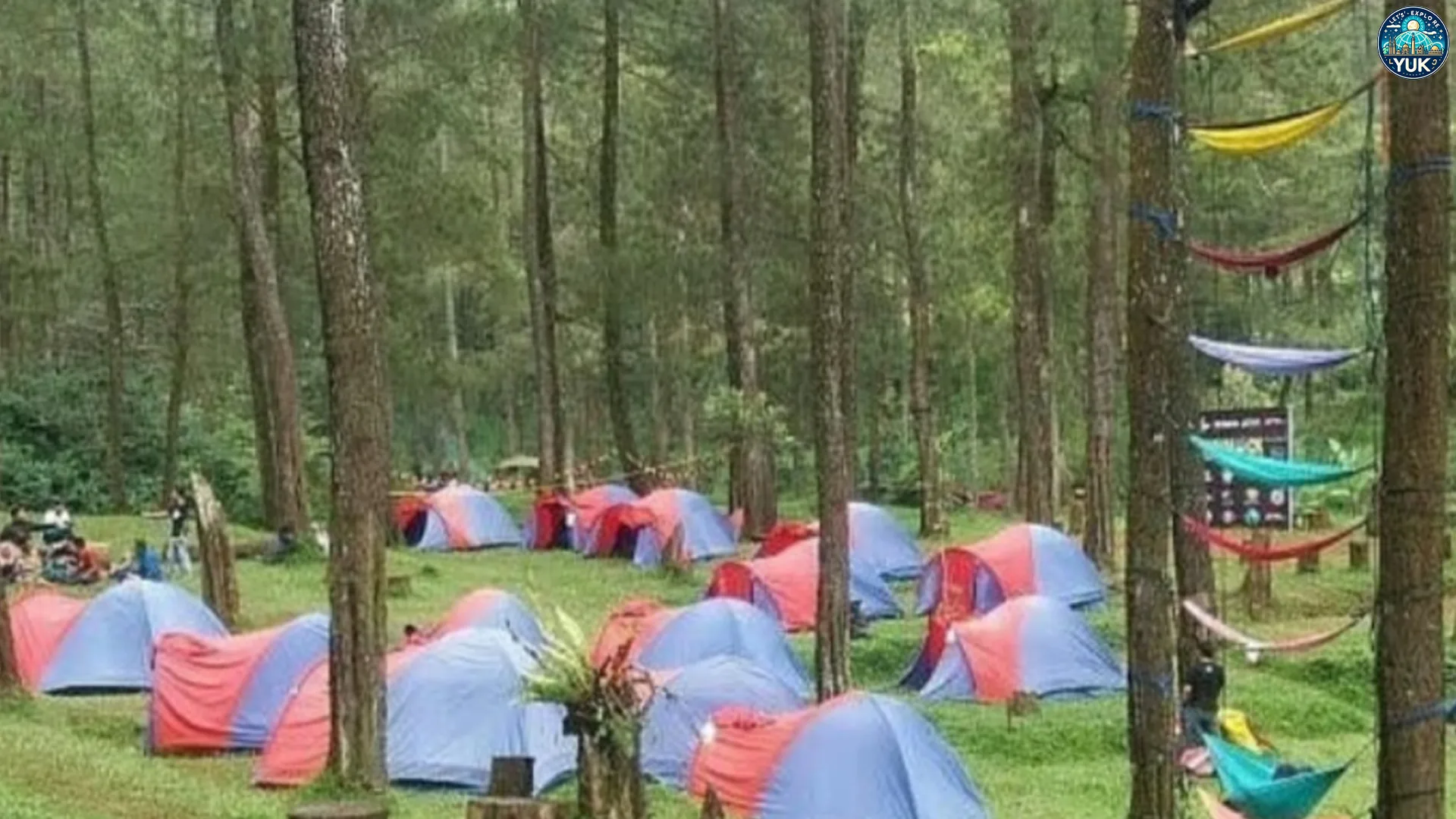 Hal Menarik yang Bisa Anda Temui di Wana Wisata Pokland