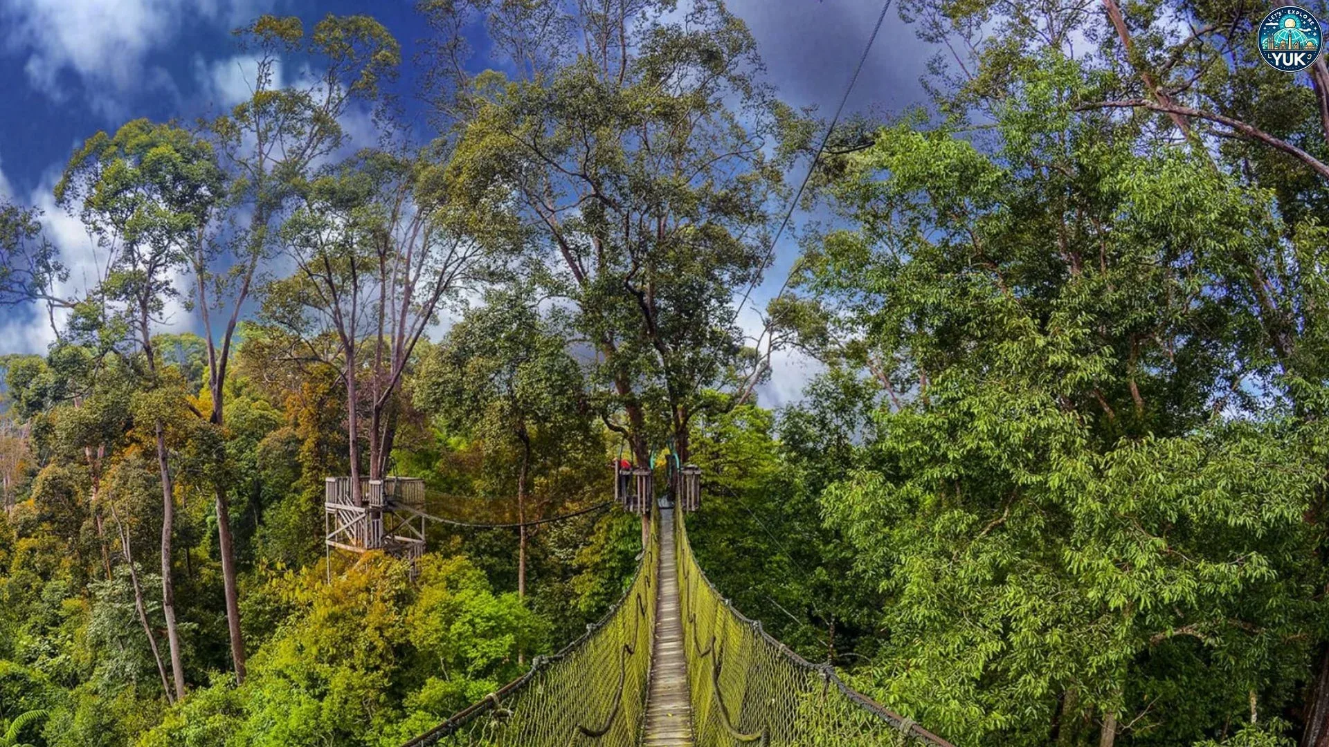 Bukit Bangkirai: Menyatu dengan Alam di Puncak Kalimantan