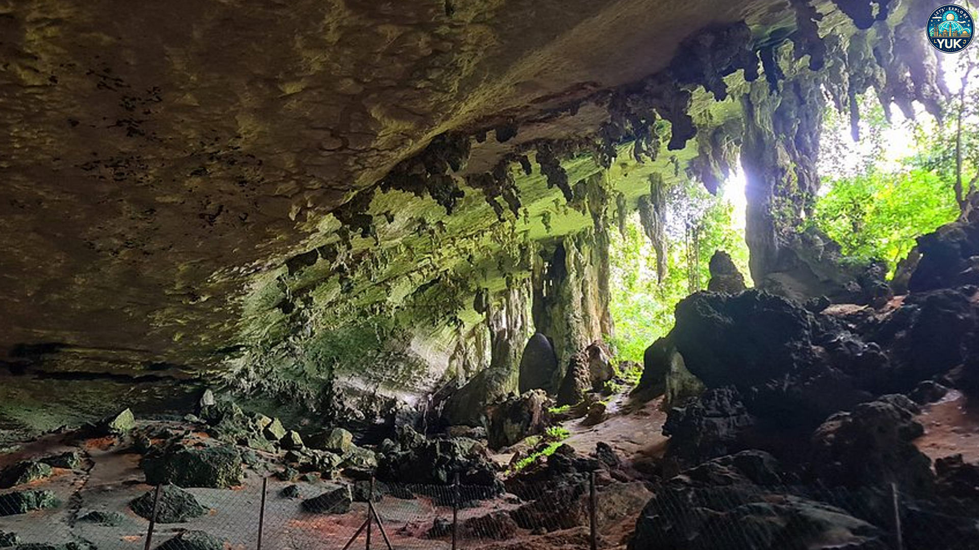 Taman Nasional Niah: Destinasi Wisata dengan Pesona Indah