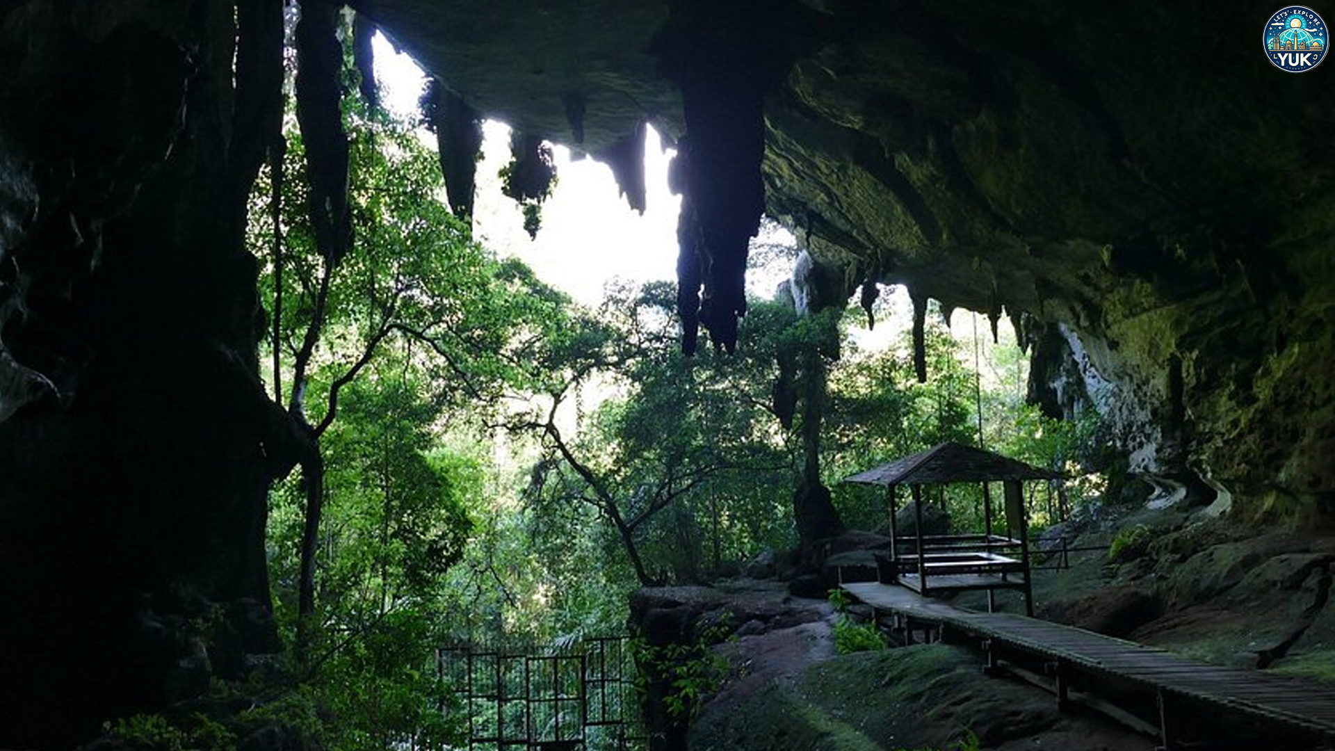 Taman Nasional Niah: Destinasi Wisata dengan Pesona Indah