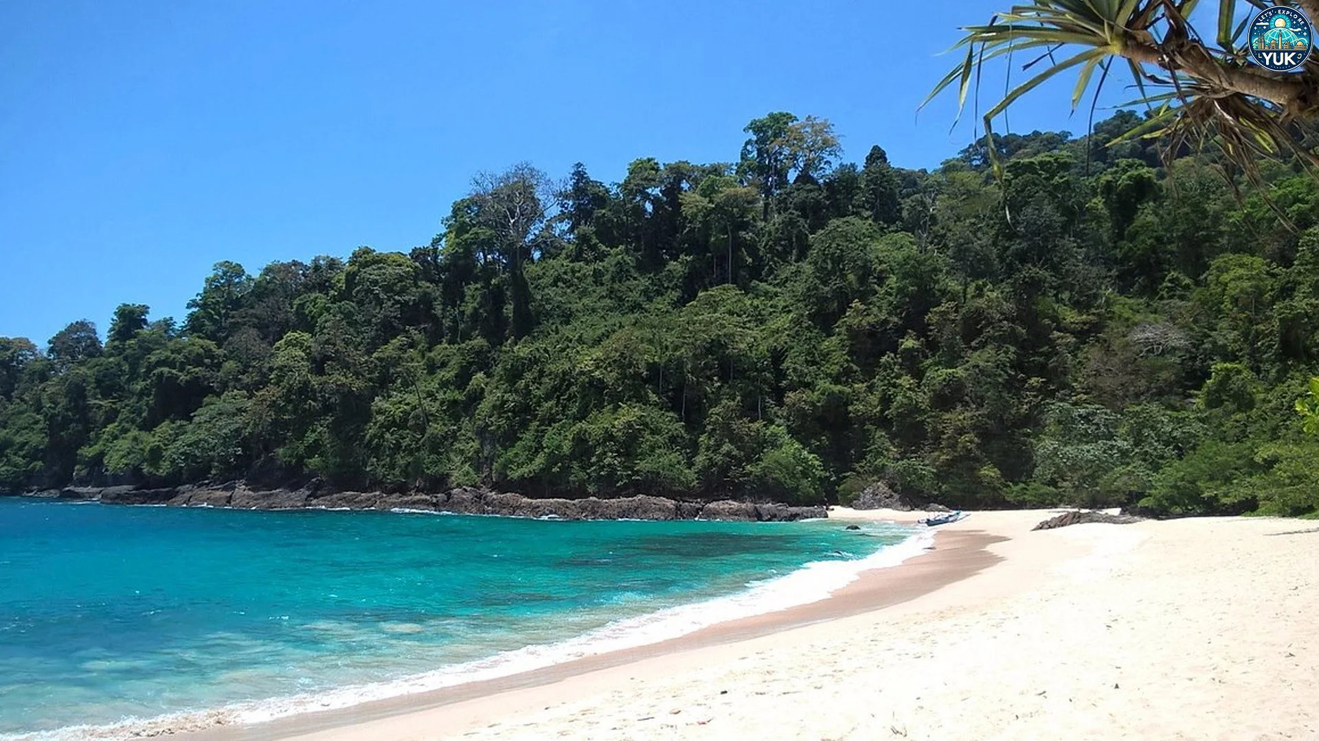 Teluk Hijau Alasan Kenapa Harus Masuk Ini ke Bucket List