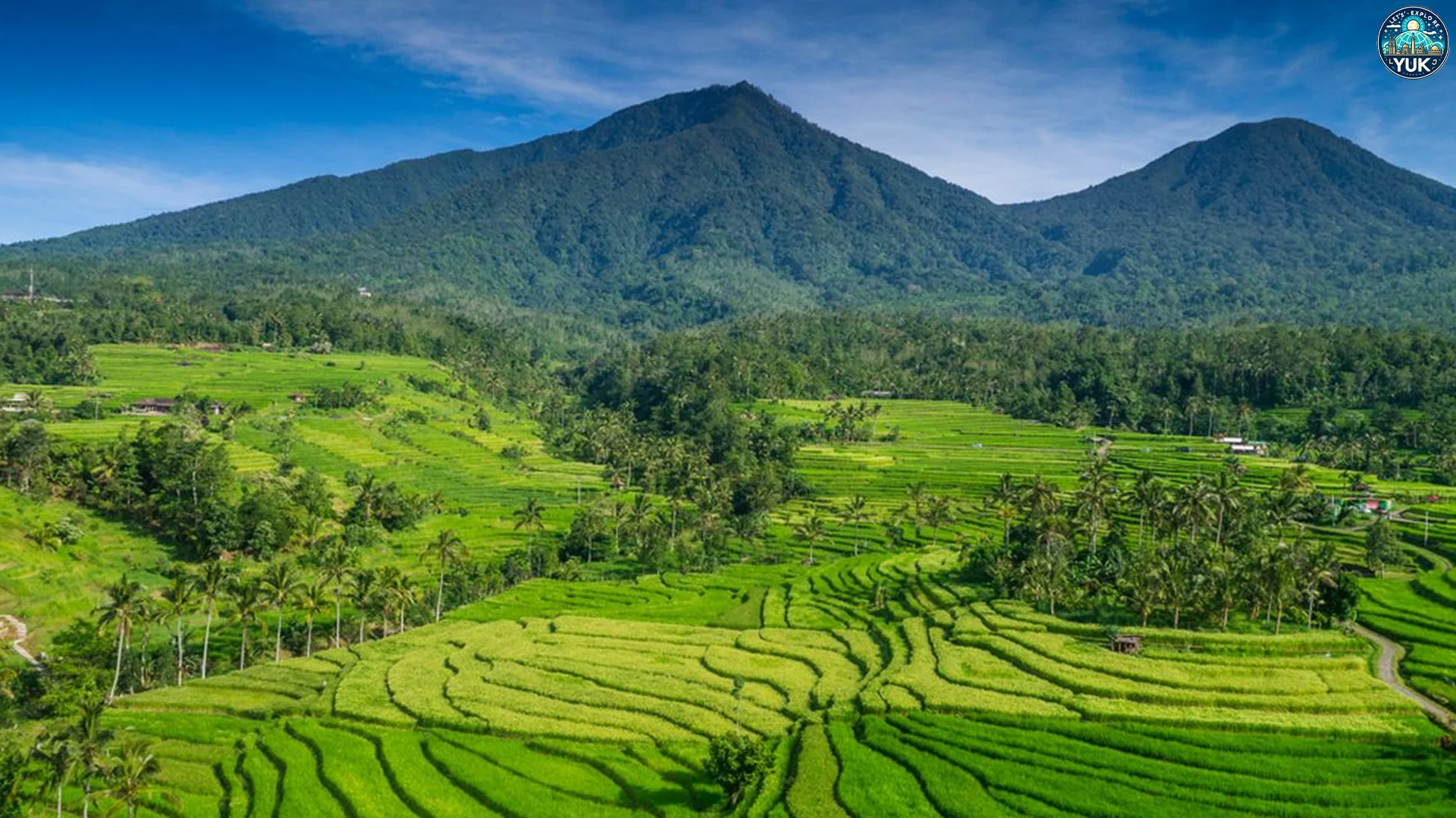 Jatiluwih dengan Simfoni Air Subak yang Menenangkan Hati