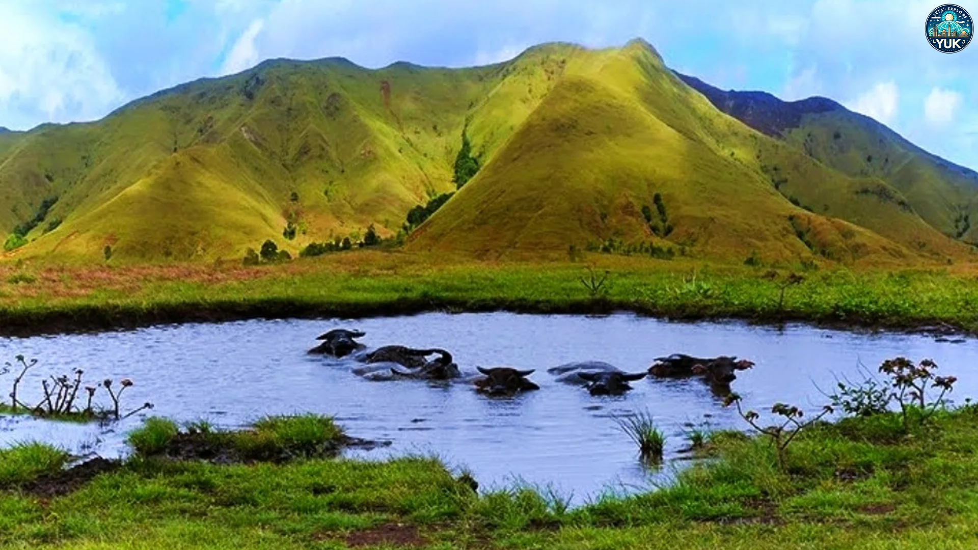 Pulau Moa Spot Sunset Yang Bikin Penikmat Fotografi Terpesona