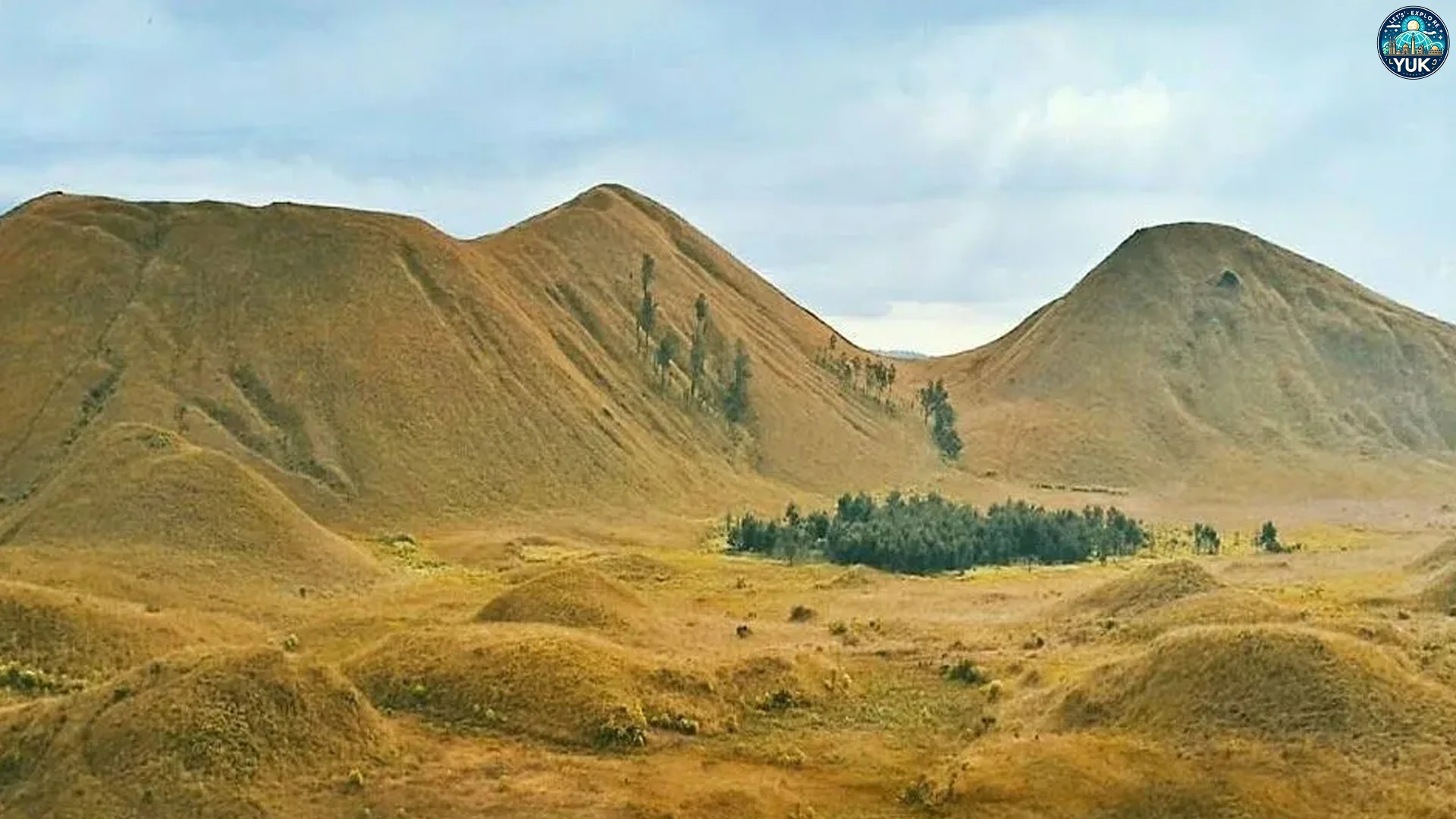 Kawah Wurung: Panorama Hijau Dengan Momen Terbaik