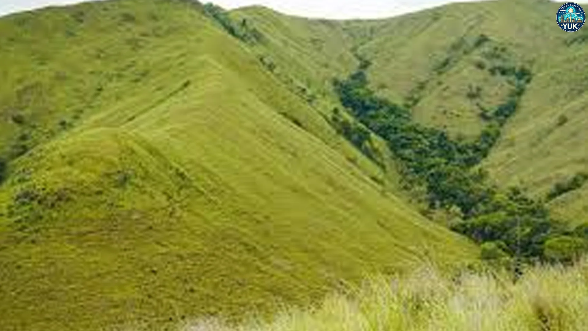 Pulau Moa Spot Sunset Yang Bikin Penikmat Fotografi Terpesona