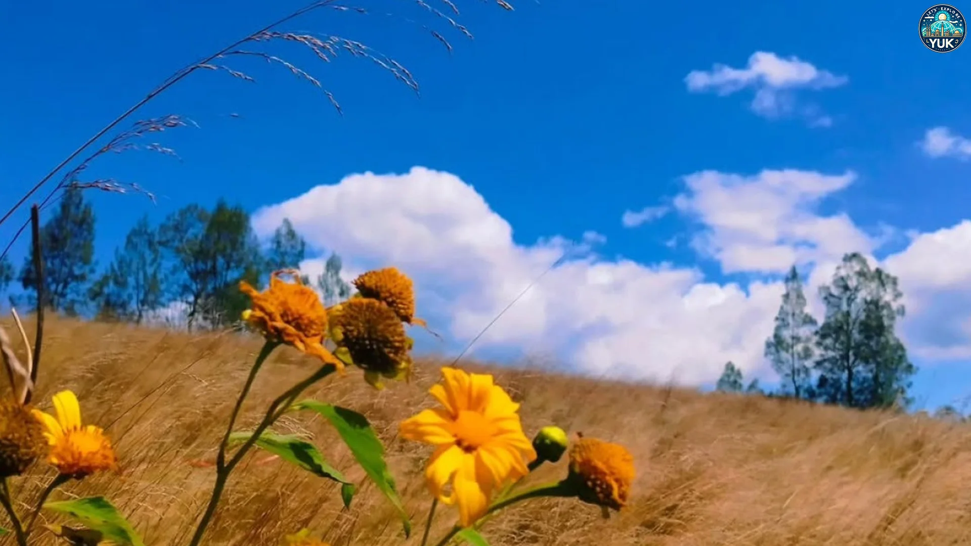 Keindahan Wisata Kawah Ilalang Membuat Pengunjung Terpesona