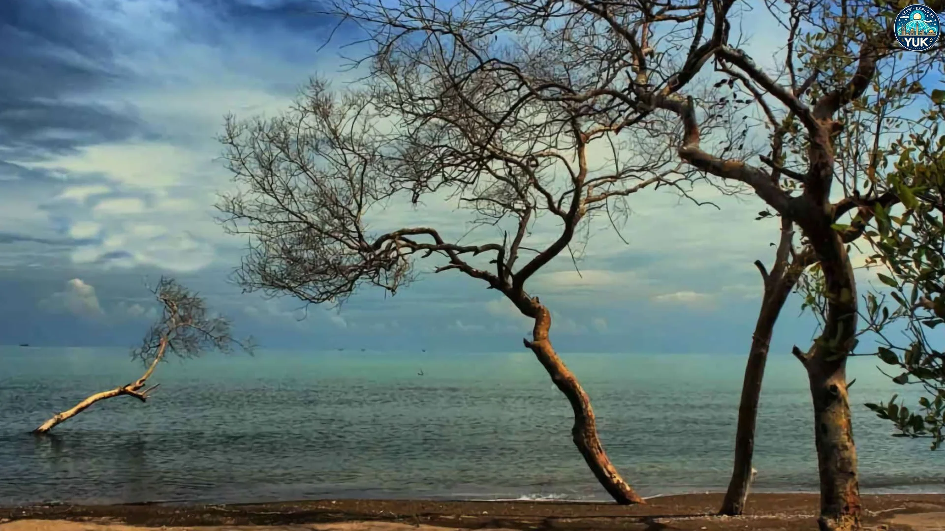 Pantai Cirewang Aktivitas Seru yang Bisa Dilakukan Saat Liburan