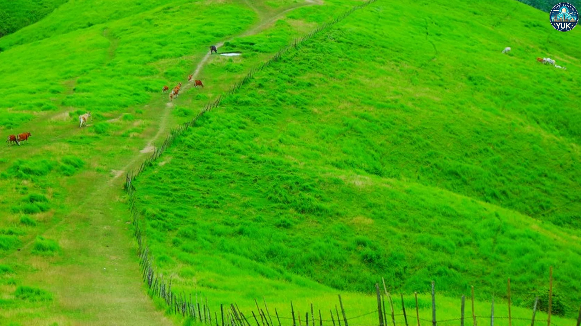 Hal Menarik Tentang Wisata Bukit Rimpi Yang Harus Diketahui