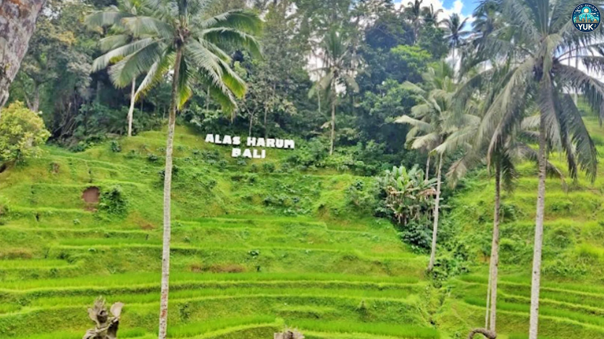 Alas Harum Bali Spot Instagramable Wajib Dikunjungi