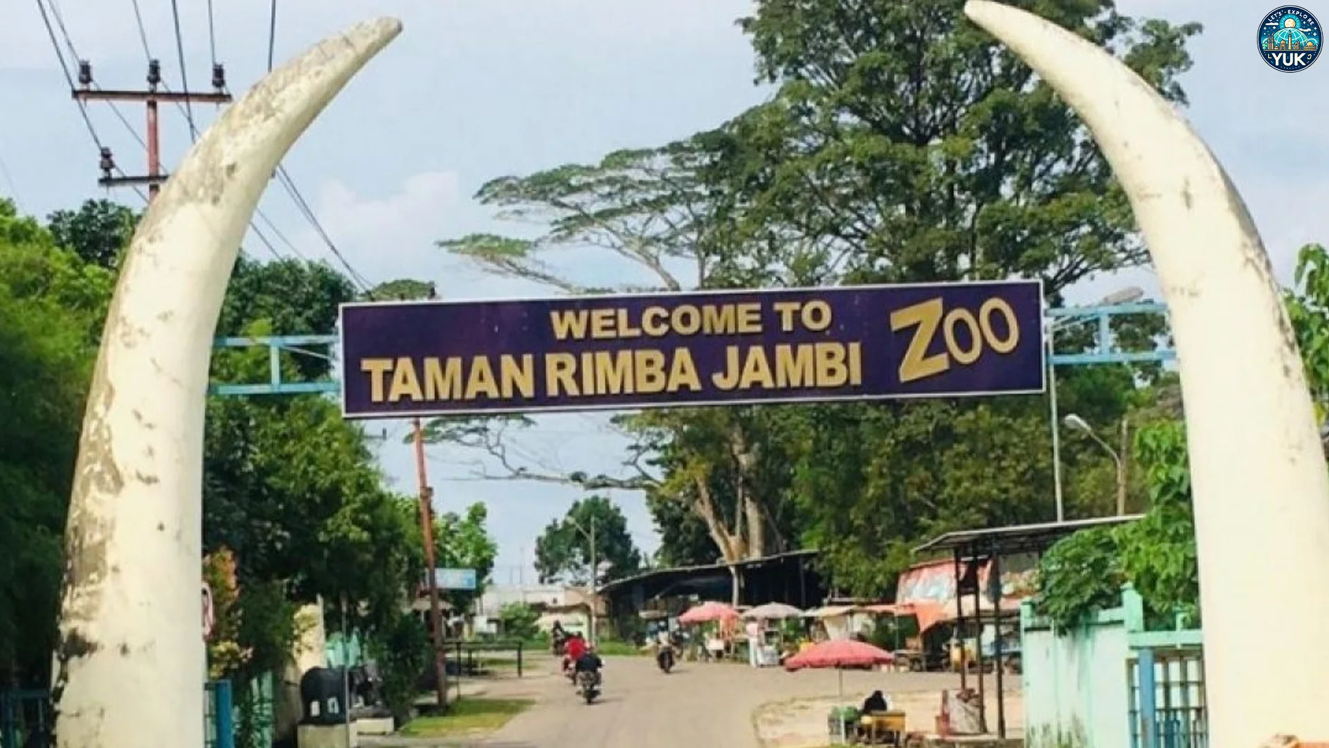 Serunya Lihat Hewan Langka di Taman Rimba Zoo