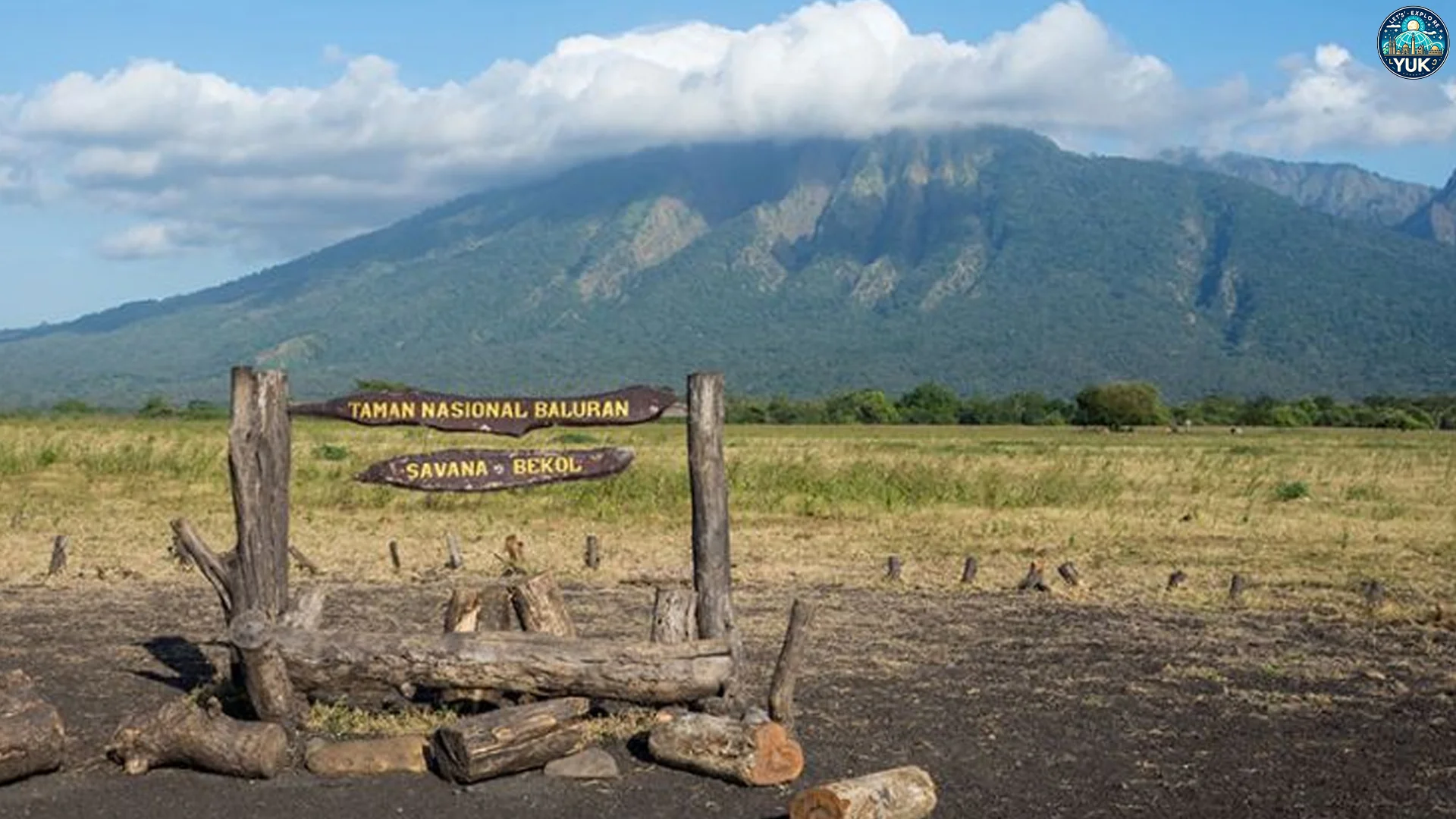 Taman Nasional Baluran Spot Camping Paling Seru Di Situbondo